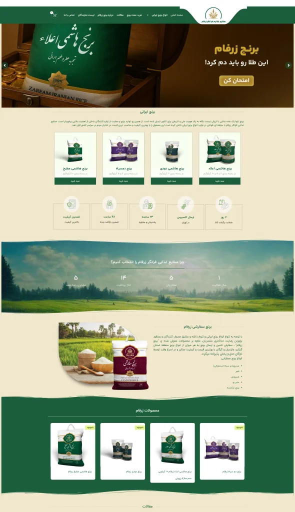 طراحی وب سایت